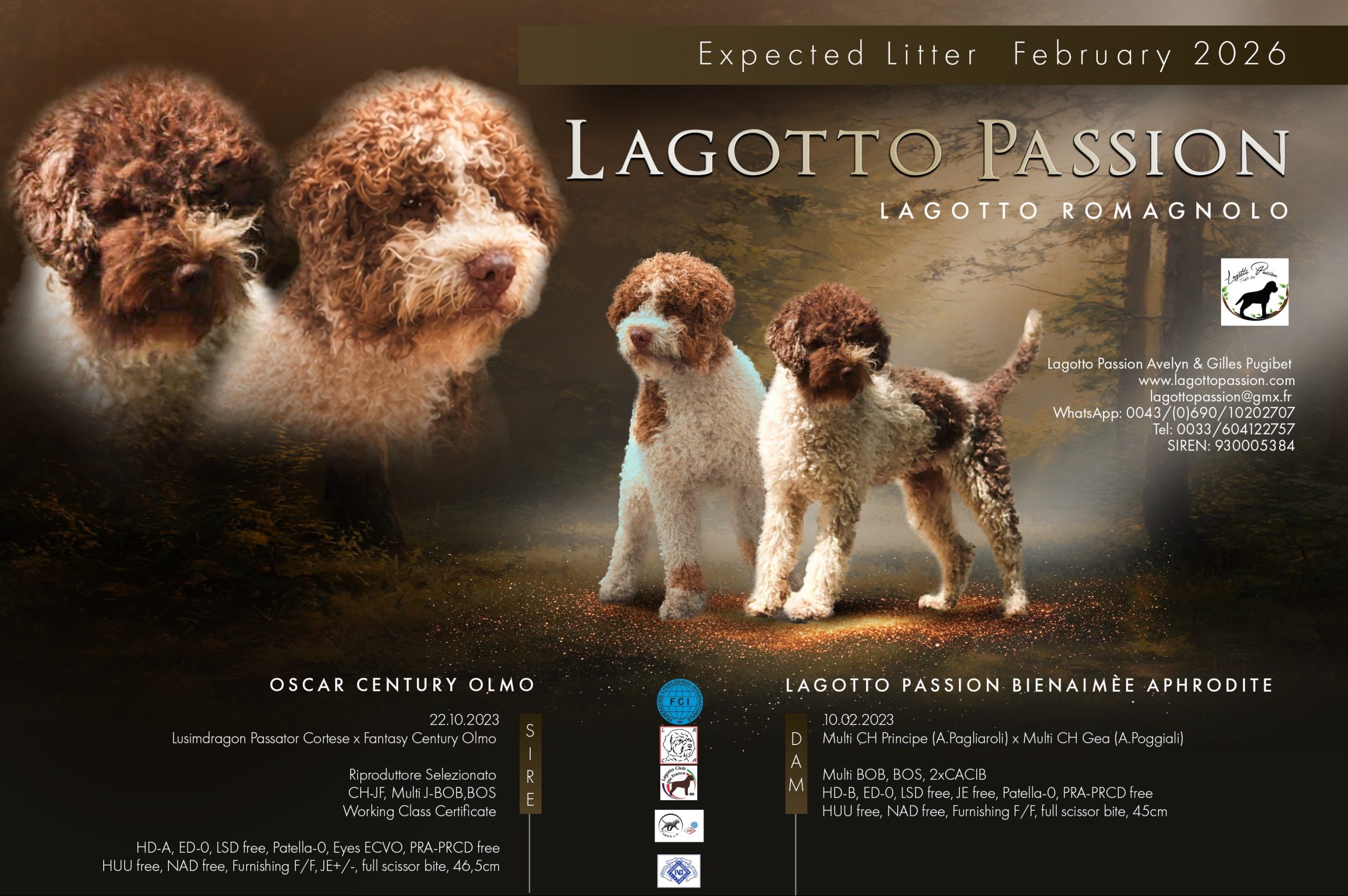 Lagotto Passion Wurf 24.2.2026