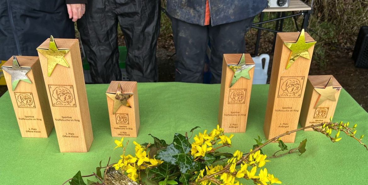 des Lagotto Romagnolo Club Austria